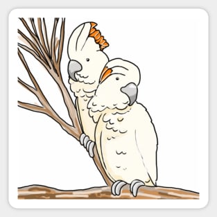 Cockatoo lover Sticker